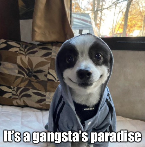 It’s a gangsta’s paradise | made w/ Imgflip meme maker