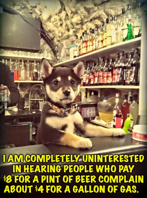 Bartender Puppy | I AM COMPLETELY UNINTERESTED IN HEARING PEOPLE WHO PAY $8 FOR A PINT OF BEER COMPLAIN ABOUT $4 FOR A GALLON OF GAS. | image tagged in bartender puppy | made w/ Imgflip meme maker