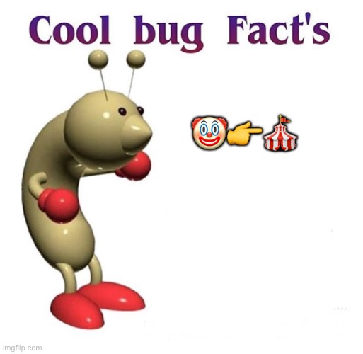 bussy | 🤡👉🎪 | image tagged in cool bug facts | made w/ Imgflip meme maker