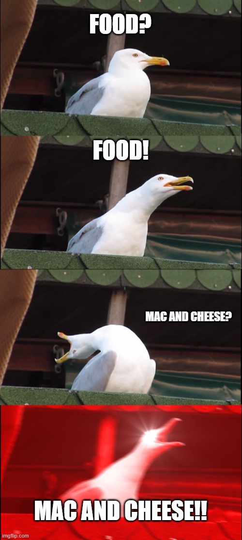 Inhaling Seagull | FOOD? FOOD! MAC AND CHEESE? MAC AND CHEESE!! | image tagged in memes,inhaling seagull | made w/ Imgflip meme maker