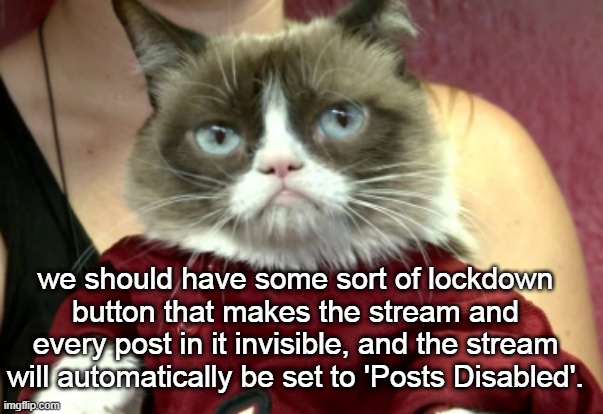 Grumpy Cat in Red Clothes | we should have some sort of lockdown button that makes the stream and every post in it invisible, and the stream will automatically be set to 'Posts Disabled'. | image tagged in grumpy cat in red clothes | made w/ Imgflip meme maker