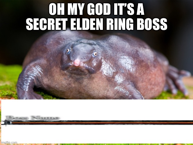 Elden ring bosses | OH MY GOD IT’S A SECRET ELDEN RING BOSS | image tagged in souls | made w/ Imgflip meme maker