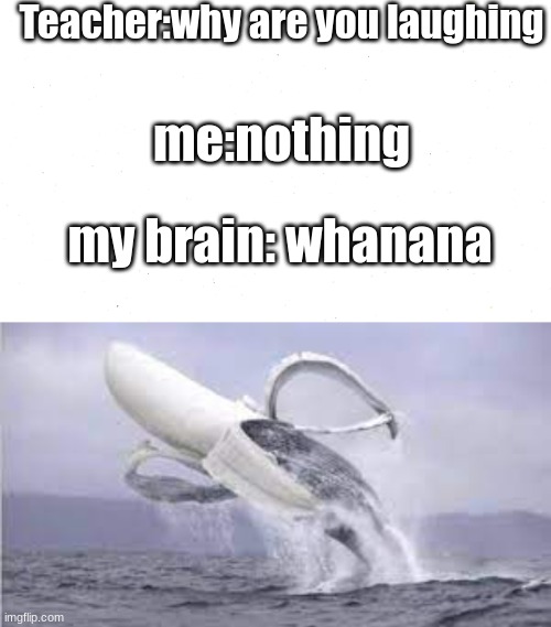 whanana |  Teacher:why are you laughing; me:nothing; my brain: whanana | image tagged in funny,why are you laughing,my brain,memes | made w/ Imgflip meme maker