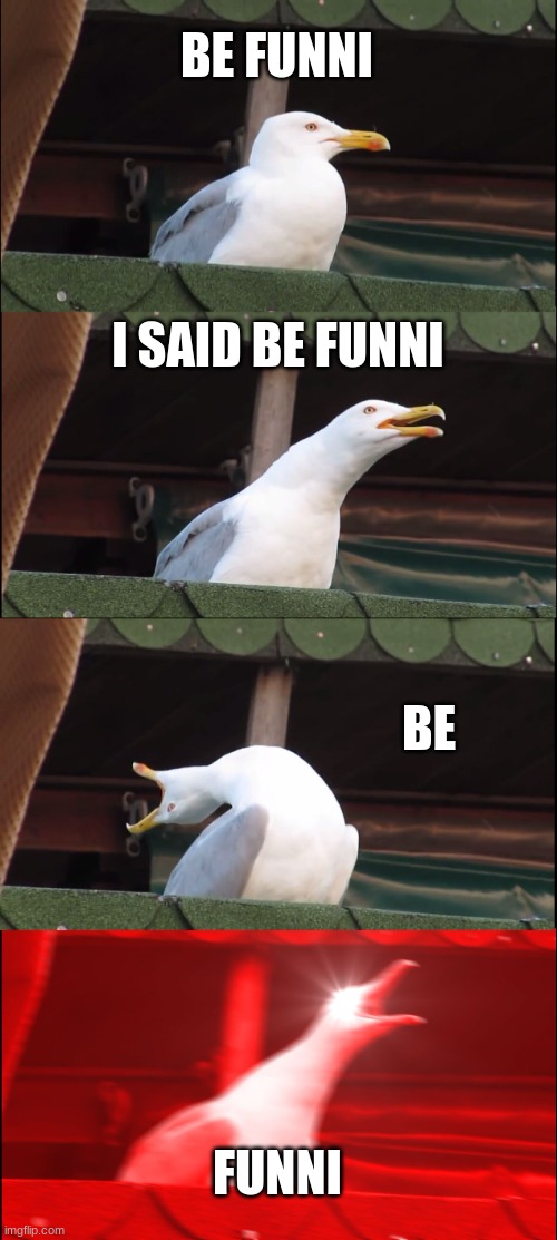 Msmg when Danny: | BE FUNNI; I SAID BE FUNNI; BE; FUNNI | image tagged in memes,inhaling seagull,danny,oh no,be funni | made w/ Imgflip meme maker