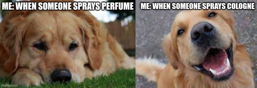 ME: WHEN SOMEONE SPRAYS COLOGNE; ME: WHEN SOMEONE SPRAYS PERFUME | made w/ Imgflip meme maker