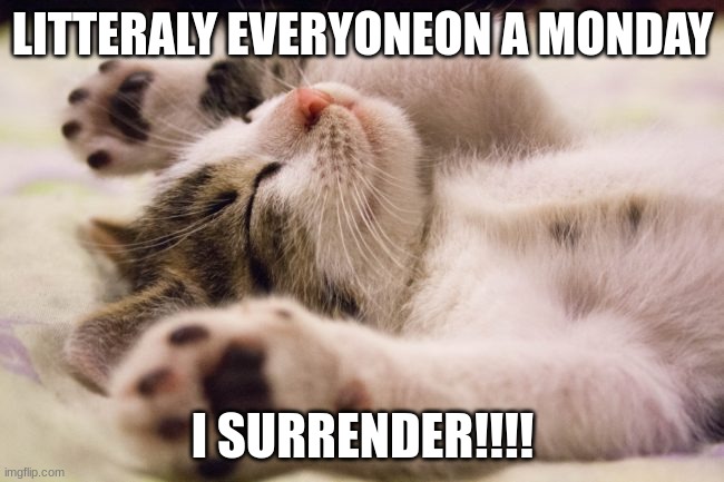 when its monday meh dudes | LITTERALY EVERYONEON A MONDAY; I SURRENDER!!!! | image tagged in funny | made w/ Imgflip meme maker