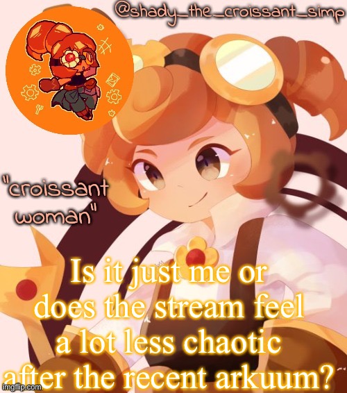 The one that was like a month or two ago | Is it just me or does the stream feel a lot less chaotic after the recent arkuum? | image tagged in yet another croissant woman temp thank syoyroyoroi | made w/ Imgflip meme maker