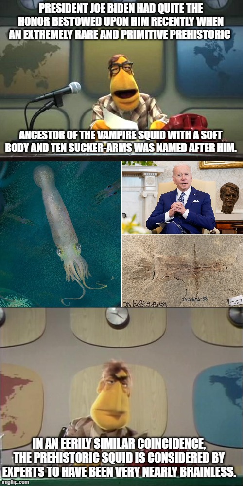This is actually true.  It really did happen. | PRESIDENT JOE BIDEN HAD QUITE THE HONOR BESTOWED UPON HIM RECENTLY WHEN AN EXTREMELY RARE AND PRIMITIVE PREHISTORIC; ANCESTOR OF THE VAMPIRE SQUID WITH A SOFT BODY AND TEN SUCKER-ARMS WAS NAMED AFTER HIM. IN AN EERILY SIMILAR COINCIDENCE, THE PREHISTORIC SQUID IS CONSIDERED BY EXPERTS TO HAVE BEEN VERY NEARLY BRAINLESS. | image tagged in muppet news flash | made w/ Imgflip meme maker