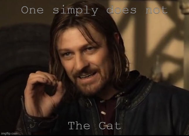One Simply Does Not | One simply does not The Cat | image tagged in one simply does not | made w/ Imgflip meme maker