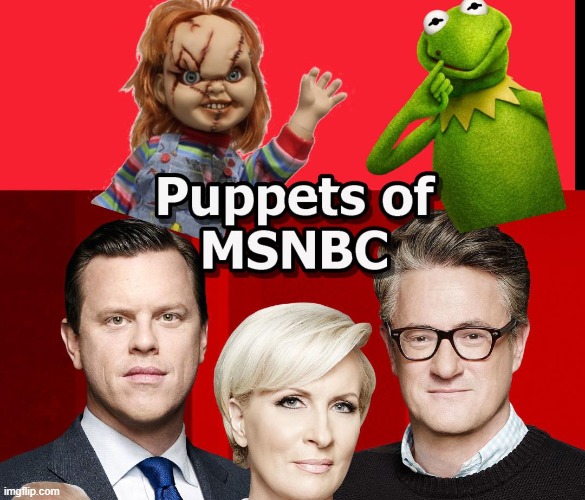 Puppets Of MSNBC Spreading the Fake News | image tagged in msnbc,puppets,fake news,cnn | made w/ Imgflip meme maker