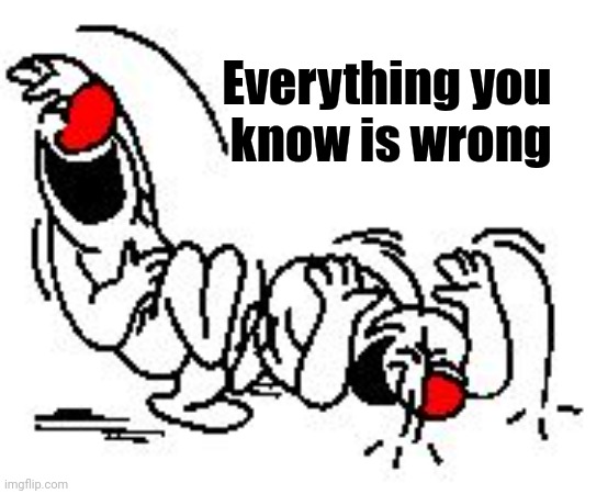 LOL Hysterically | Everything you    
know is wrong | image tagged in lol hysterically | made w/ Imgflip meme maker