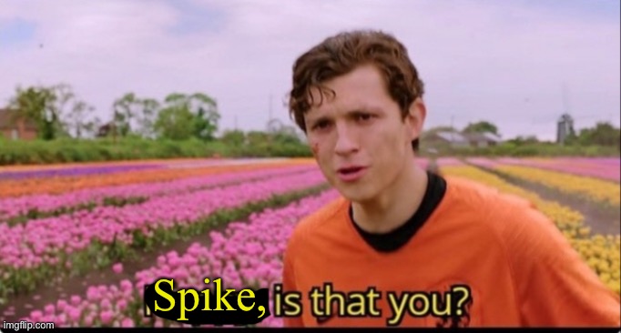 Happy is that you? | Spike, | image tagged in happy is that you | made w/ Imgflip meme maker