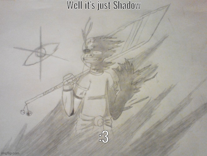 Shadow | Well it's just Shadow; :3 | image tagged in shadow | made w/ Imgflip meme maker
