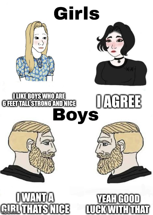 agreed | I LIKE BOYS WHO ARE 6 FEET TALL STRONG AND NICE; I AGREE; YEAH GOOD LUCK WITH THAT; I WANT A GIRL THATS NICE | image tagged in girls vs boys | made w/ Imgflip meme maker