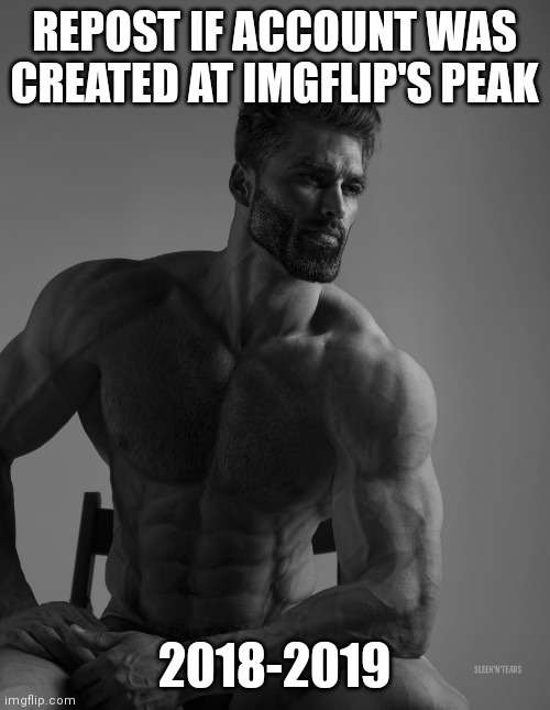 Giga Chad | REPOST IF ACCOUNT WAS CREATED AT IMGFLIP'S PEAK; 2018-2019 | image tagged in giga chad | made w/ Imgflip meme maker