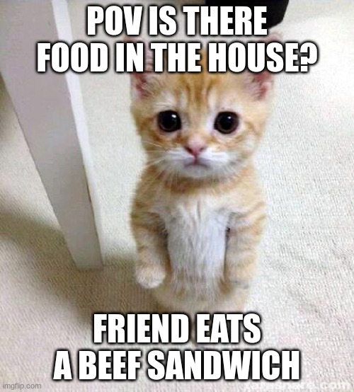 FOOOOOOOOOOOOOOOOOOOOD | POV IS THERE FOOD IN THE HOUSE? FRIEND EATS A BEEF SANDWICH | image tagged in memes,cute cat | made w/ Imgflip meme maker