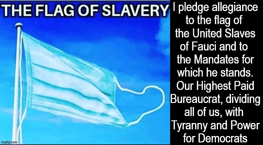 Slaves, remove your hats; put hands on hearts; repeat after me | I pledge allegiance
to the flag of 
the United Slaves
of Fauci and to 
the Mandates for
which he stands.
Our Highest Paid
Bureaucrat, dividing
all of us, with 
Tyranny and Power
for Democrats | made w/ Imgflip meme maker