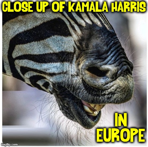 Biden sent Kamala to Europe hoping she'd get to Ukraine | CLOSE UP OF KAMALA HARRIS; IN EUROPE | image tagged in vince vance,kamala harris,vice president,zebra,memes,europe | made w/ Imgflip meme maker