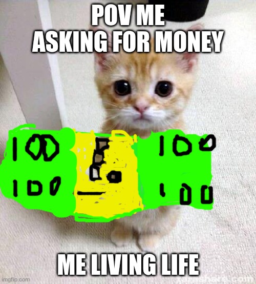 Cute Cat | POV ME ASKING FOR MONEY; ME LIVING LIFE | image tagged in memes,cute cat | made w/ Imgflip meme maker