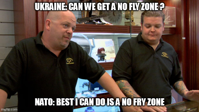 Pawn Stars Best I Can Do |  UKRAINE: CAN WE GET A NO FLY ZONE ? NATO: BEST I CAN DO IS A NO FRY ZONE | image tagged in pawn stars best i can do | made w/ Imgflip meme maker