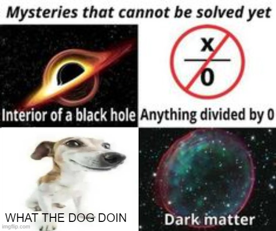 Mysteries That Cannot Be Solved Yet | WHAT THE DOG DOIN | image tagged in mysteries that cannot be solved yet | made w/ Imgflip meme maker