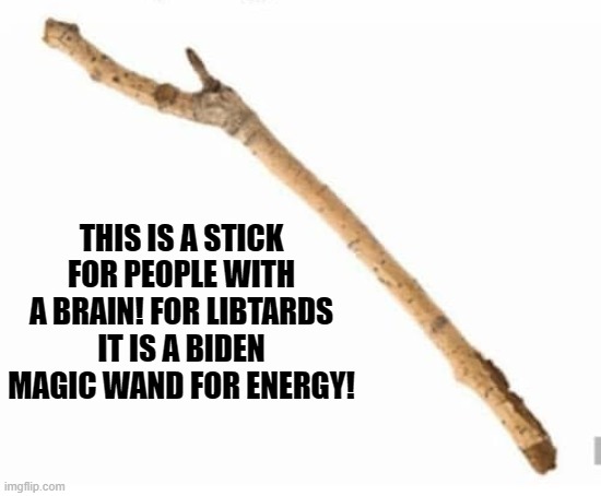 THIS IS A STICK FOR PEOPLE WITH A BRAIN! FOR LIBTARDS IT IS A BIDEN MAGIC WAND FOR ENERGY! | made w/ Imgflip meme maker