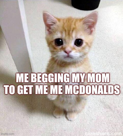 First meme | ME BEGGING MY MOM TO GET ME ME MCDONALDS | image tagged in memes,cute cat | made w/ Imgflip meme maker