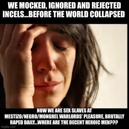 Sad girl meme | WE MOCKED, IGNORED AND REJECTED INCELS…BEFORE THE WORLD COLLAPSED; NOW WE ARE SEX SLAVES AT MESTIZO/NEGRO/MONGREL WARLORDS’ PLEASURE, BRUTALLY RAPED DAILY…WHERE ARE THE DECENT HEROIC MEN??? | image tagged in sad girl meme | made w/ Imgflip meme maker