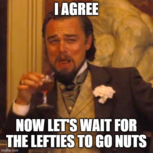 Laughing Leo Meme | I AGREE NOW LET'S WAIT FOR THE LEFTIES TO GO NUTS | image tagged in memes,laughing leo | made w/ Imgflip meme maker