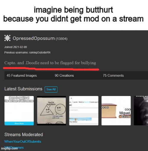 HE BULLY ME GUYS BECAUSE HE DIDNT GIVE ME MOD ON HIS STREM :(((( BOOHOO SADDDD WAAAAAAAAAA MOMYMYYYYYYYYYYYYYYYYYYYYYYYYYYYYYYYY | imagine being butthurt because you didnt get mod on a stream | made w/ Imgflip meme maker