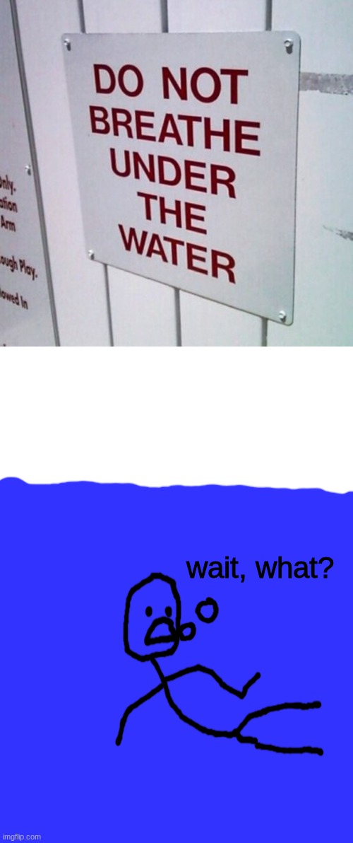 i didnt know | wait, what? | image tagged in blank white template,blue template | made w/ Imgflip meme maker