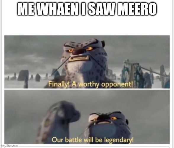 Finally! A worthy opponent! | ME WHEN I SAW MEERO | image tagged in finally a worthy opponent | made w/ Imgflip meme maker