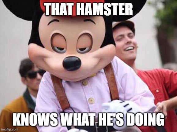 Seductive Mickey Mouse | THAT HAMSTER KNOWS WHAT HE'S DOING | image tagged in seductive mickey mouse | made w/ Imgflip meme maker