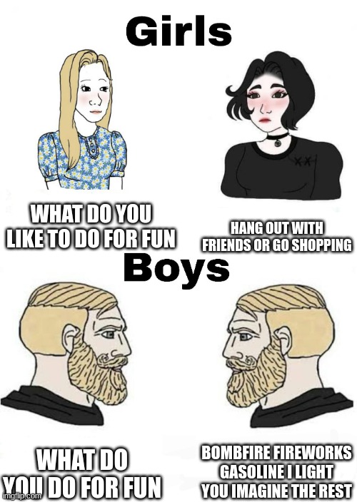 Girls vs Boys | WHAT DO YOU LIKE TO DO FOR FUN; HANG OUT WITH FRIENDS OR GO SHOPPING; BOMBFIRE FIREWORKS GASOLINE I LIGHT YOU IMAGINE THE REST; WHAT DO YOU DO FOR FUN | image tagged in girls vs boys | made w/ Imgflip meme maker