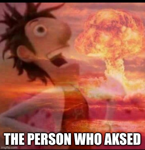 MushroomCloudy | THE PERSON WHO AKSED | image tagged in mushroomcloudy | made w/ Imgflip meme maker