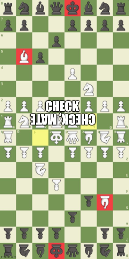 Australian Chess |  CHECK; CHECK, MATE | image tagged in mate | made w/ Imgflip meme maker