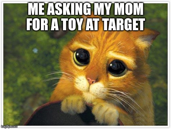 Shrek Cat | ME ASKING MY MOM FOR A TOY AT TARGET | image tagged in memes,shrek cat | made w/ Imgflip meme maker