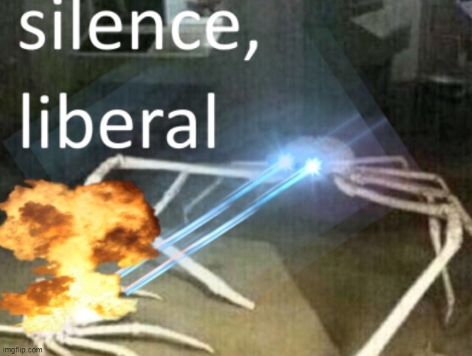 Crab shooting lasers and saying "silence liberal" | image tagged in crab shooting lasers and saying silence liberal | made w/ Imgflip meme maker