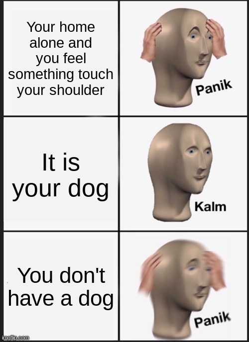 Panik Kalm Panik | Your home alone and you feel something touch your shoulder; It is your dog; You don't have a dog | image tagged in memes,panik kalm panik | made w/ Imgflip meme maker