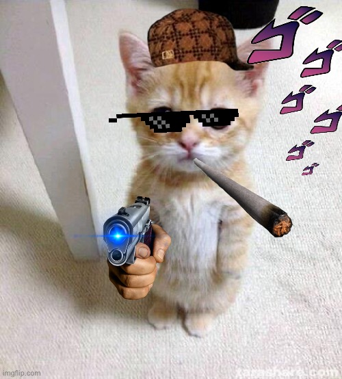 Gen z memes in a nutshell | image tagged in memes,cute cat | made w/ Imgflip meme maker
