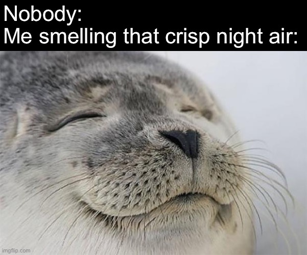 That air after 7:00 pm hit different | Nobody:
Me smelling that crisp night air: | image tagged in memes,satisfied seal | made w/ Imgflip meme maker