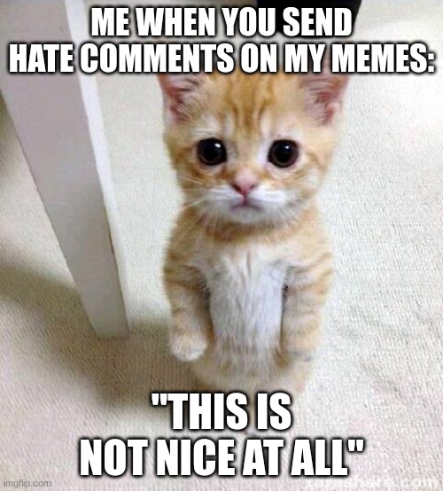 Stop. Stop being mean | ME WHEN YOU SEND HATE COMMENTS ON MY MEMES:; "THIS IS NOT NICE AT ALL" | image tagged in memes,cute cat | made w/ Imgflip meme maker