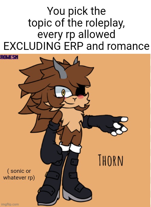 Sonic rp anyone? | You pick the topic of the roleplay, every rp allowed EXCLUDING ERP and romance; ( sonic or whatever rp) | image tagged in thorn the sheep | made w/ Imgflip meme maker