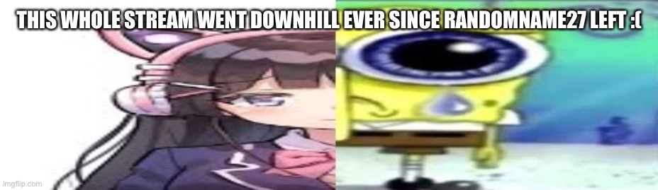 lol | THIS WHOLE STREAM WENT DOWNHILL EVER SINCE RANDOMNAME27 LEFT :( | image tagged in lol | made w/ Imgflip meme maker