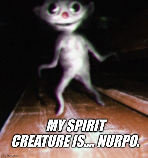 we at 5k points. spirit creature reveal. | MY SPIRIT CREATURE IS.... NURPO. | image tagged in nurpo | made w/ Imgflip meme maker