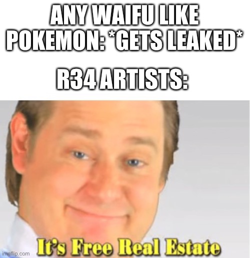 insert smart title here | ANY WAIFU LIKE POKEMON: *GETS LEAKED*; R34 ARTISTS: | image tagged in it's free real estate | made w/ Imgflip meme maker