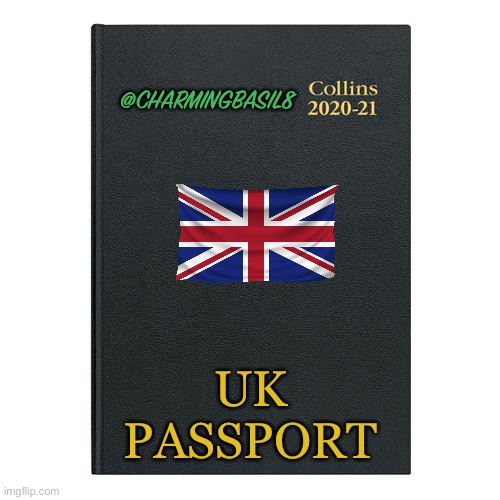 The passport | @CHARMINGBASIL8 UK PASSPORT | image tagged in the passport | made w/ Imgflip meme maker