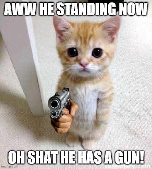 cat with a gun | AWW HE STANDING NOW; OH SHAT HE HAS A GUN! | image tagged in memes,cute cat,cat,cats,gun,guns | made w/ Imgflip meme maker