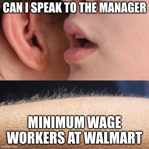 Whisper and Goosebumps | CAN I SPEAK TO THE MANAGER; MINIMUM WAGE WORKERS AT WALMART | image tagged in whisper and goosebumps | made w/ Imgflip meme maker