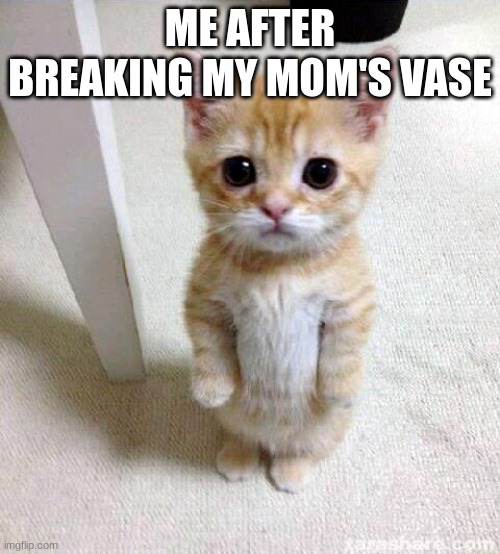 The truth | ME AFTER BREAKING MY MOM'S VASE | image tagged in memes,cute cat,mom,oof | made w/ Imgflip meme maker